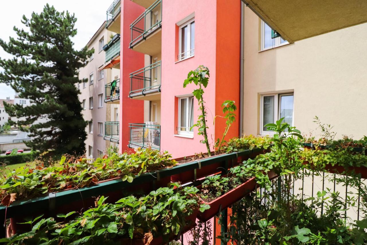 Cozynite Premium Apartment Schoenbrunn 2 Wien Eksteriør bilde